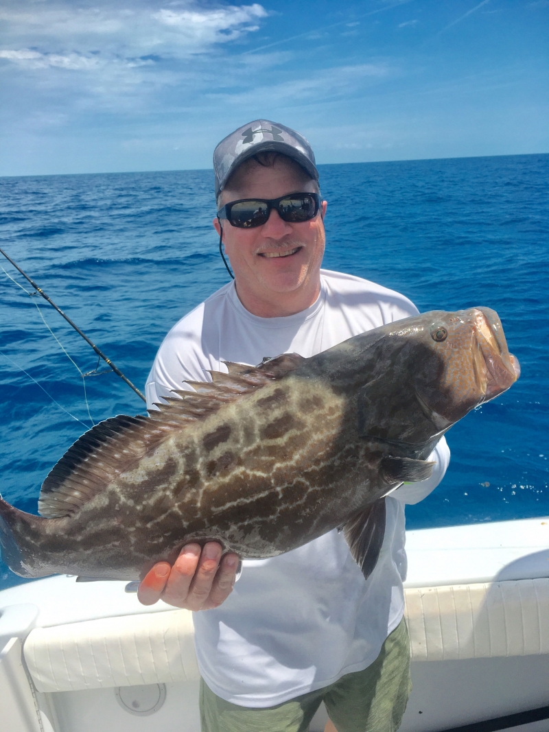 Hungry Mahi and Grouper Season Key West Offshore Fishing Charters