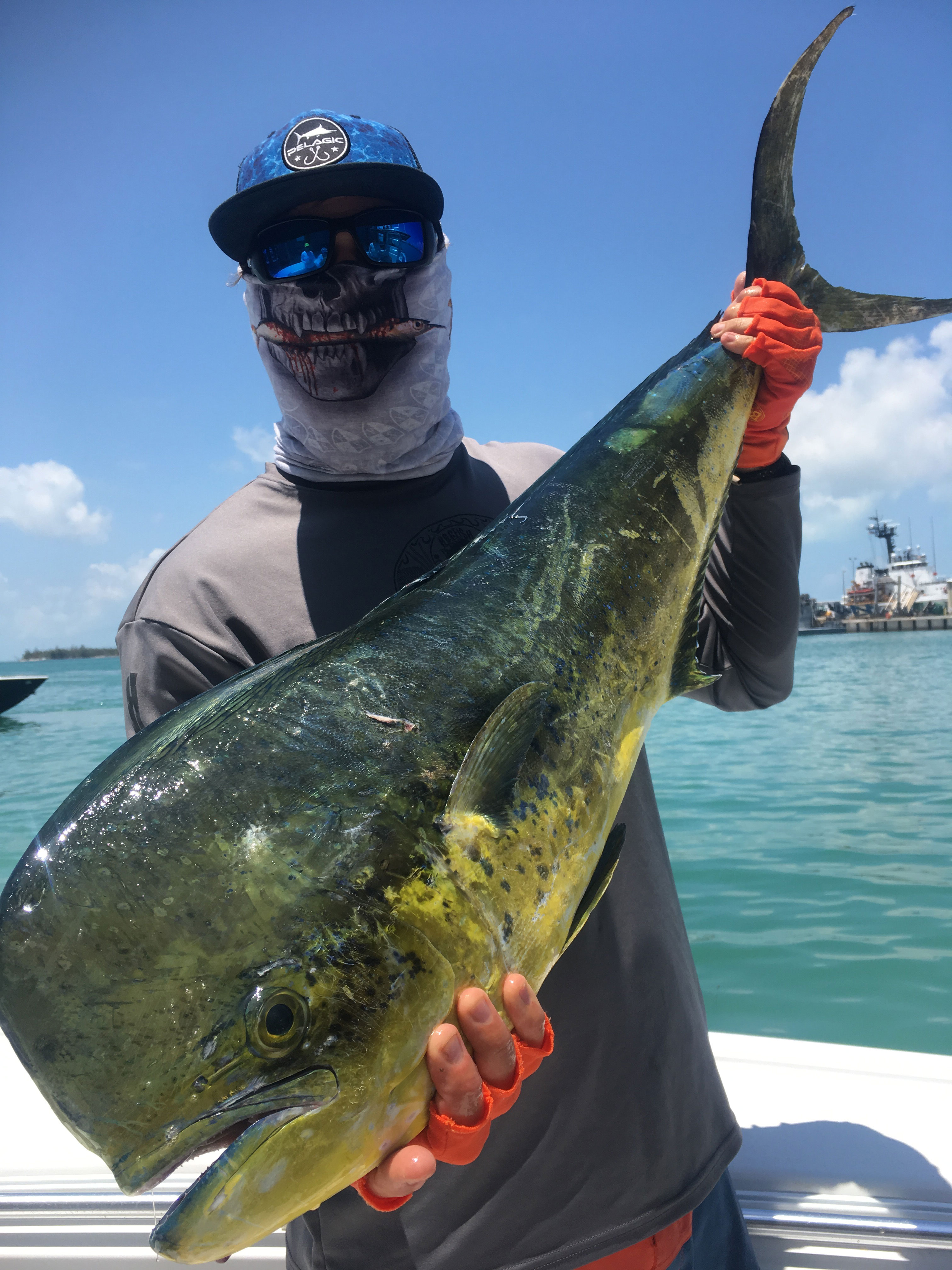 Hungry Mahi and Grouper Season Key West Offshore Fishing Charters
