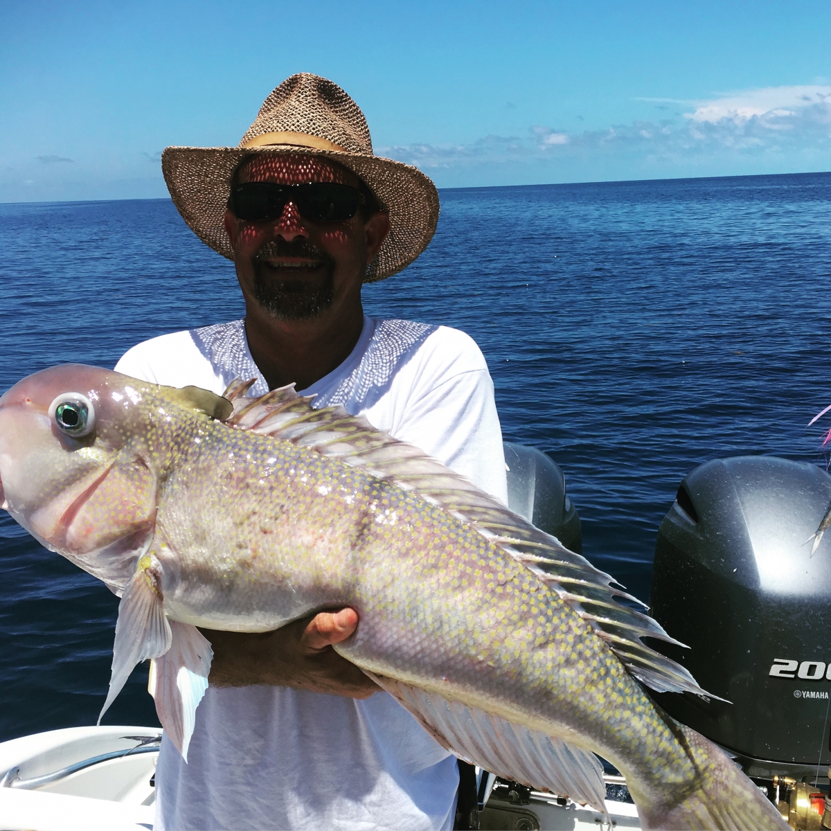 Mahi, Tilefish and Groupers Key West Offshore Fishing Charters