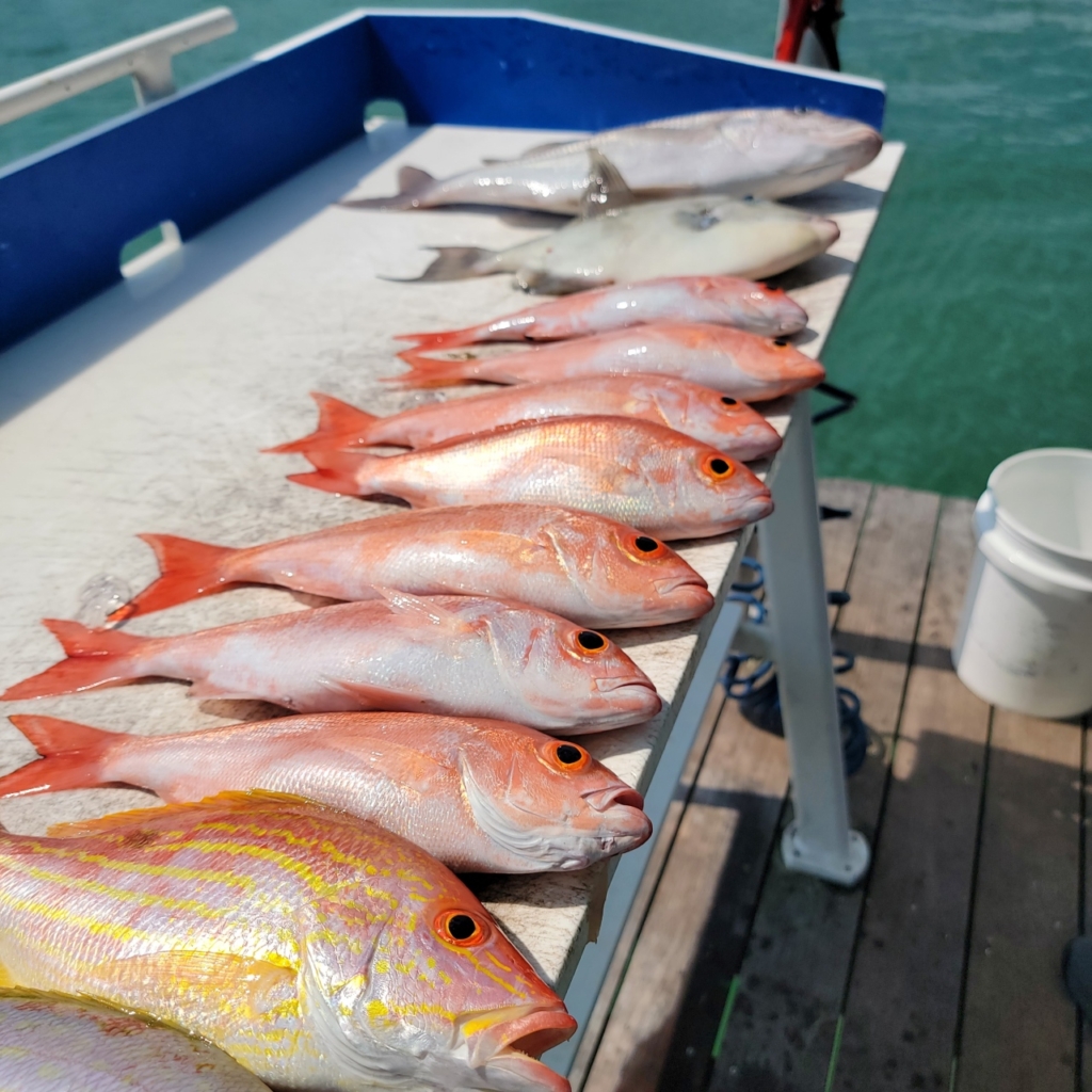 Gone Fishing Tee – Snappers Key Largo