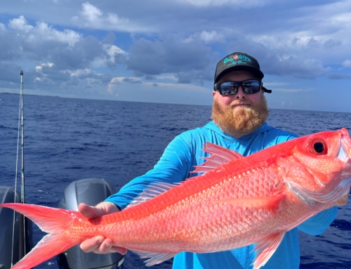 Unforgettable Adventures – Offshore Charter Fishing Experience in Key West, Florida!