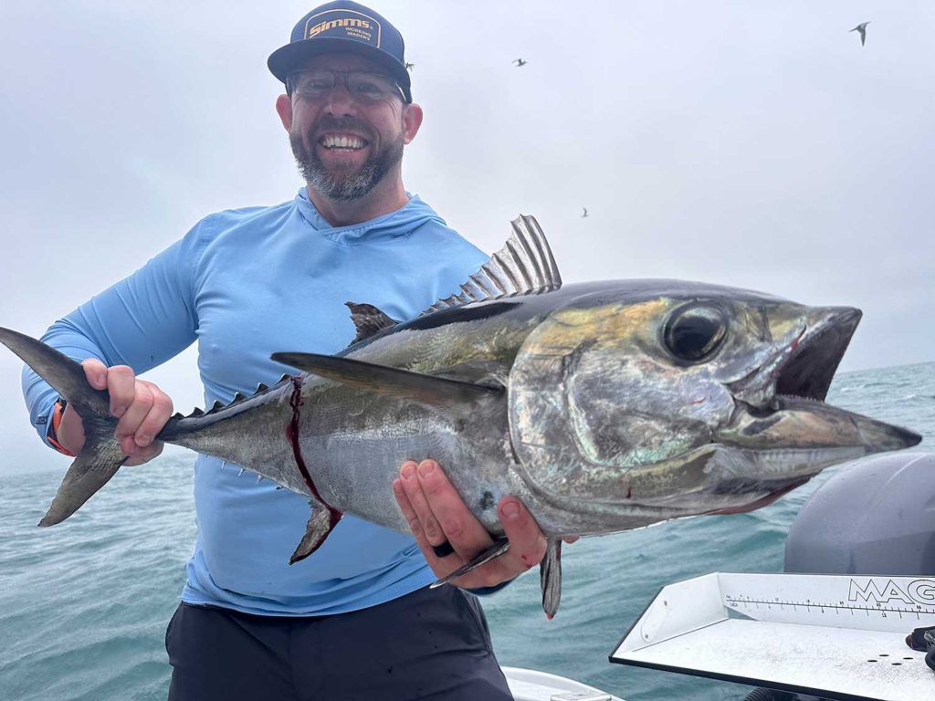 Blackfin Tuna