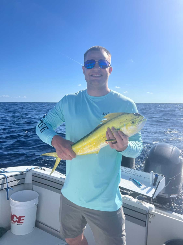 Schoolie Dolphin
