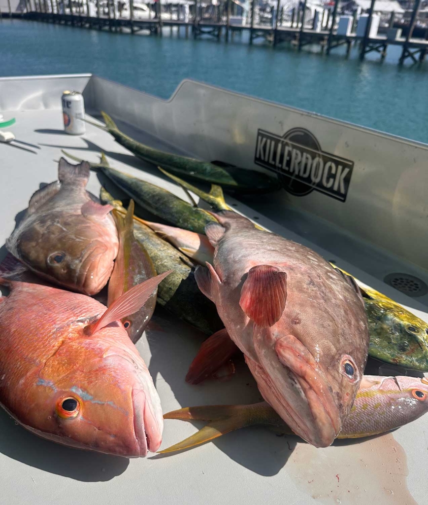 Snapper, grouper and dolphin on the fish cleaning table