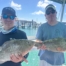 Anglers with a pair of groupers